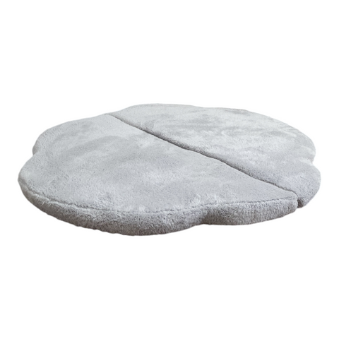 Teddy Grey